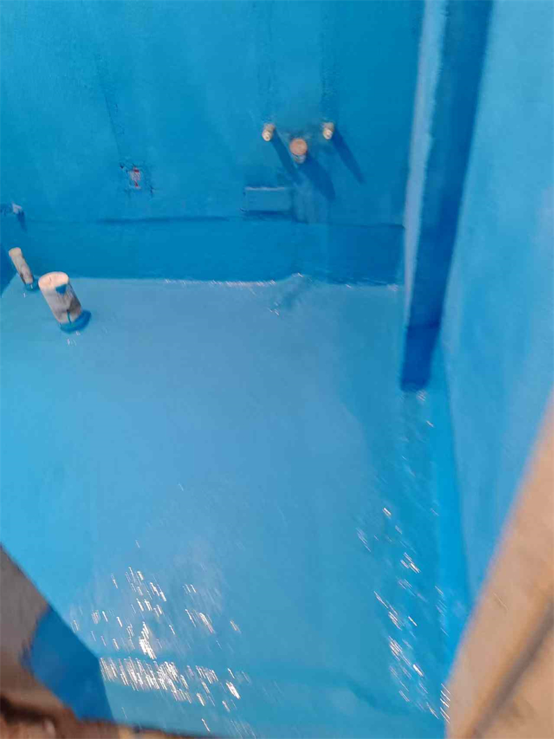 mmexport1739955019781.jpg