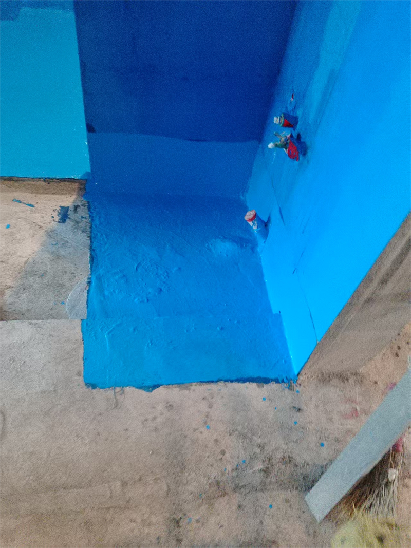 mmexport1740046920372.jpg