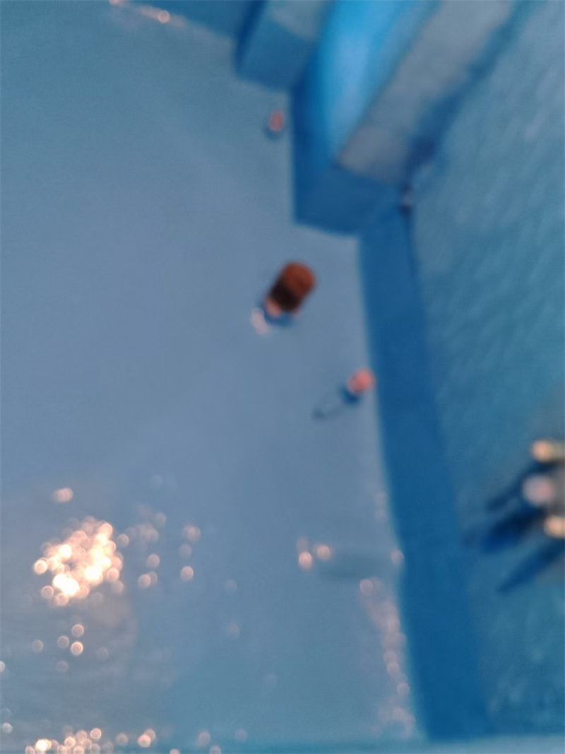 mmexport1740116402211.jpg