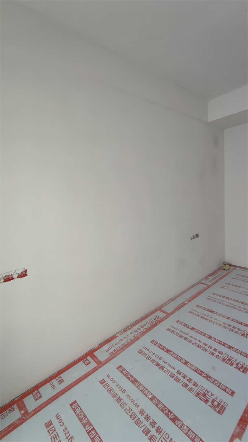 IMG20250219130809.jpg