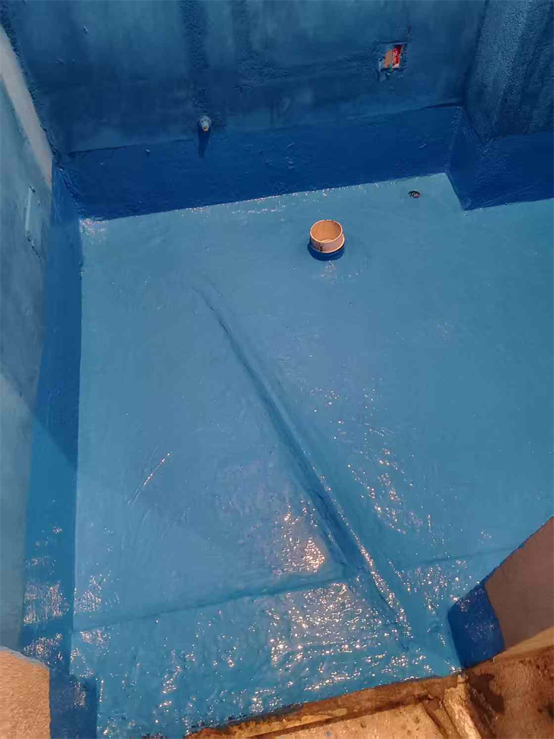 mmexport1740306072162.jpg