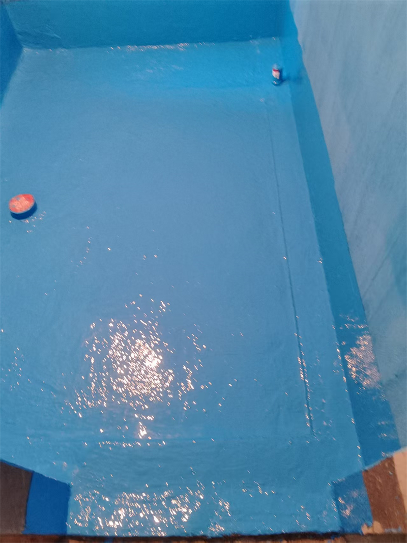 mmexport1740306080449.jpg