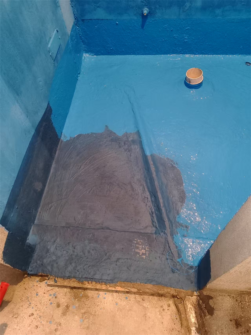 mmexport1740306084588.jpg