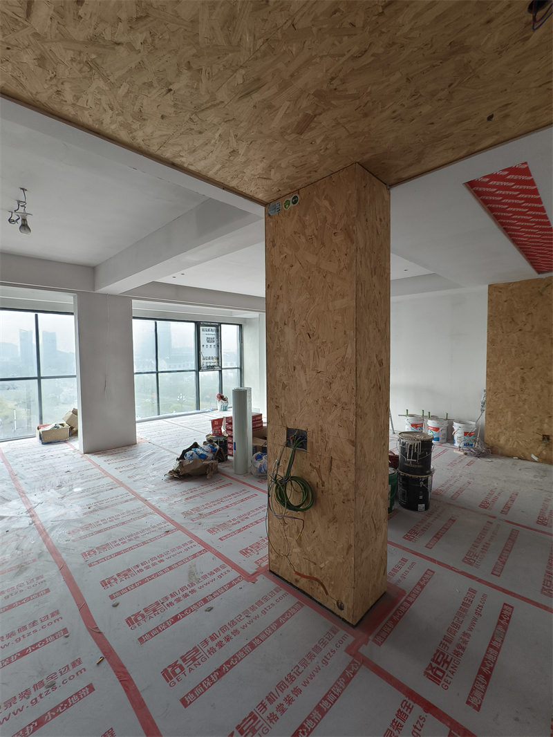 IMG_20250224_100916.jpg