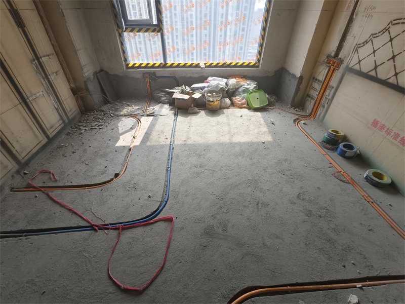 IMG_20250224_114151.jpg