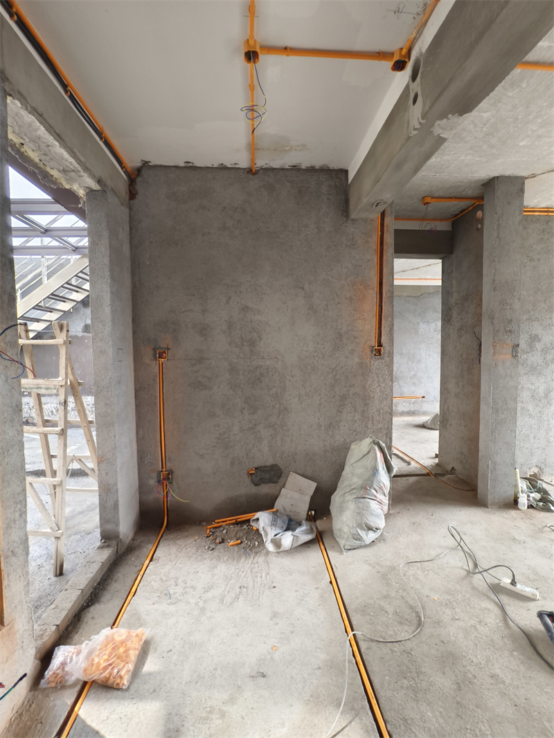 IMG_20250224_110054.jpg