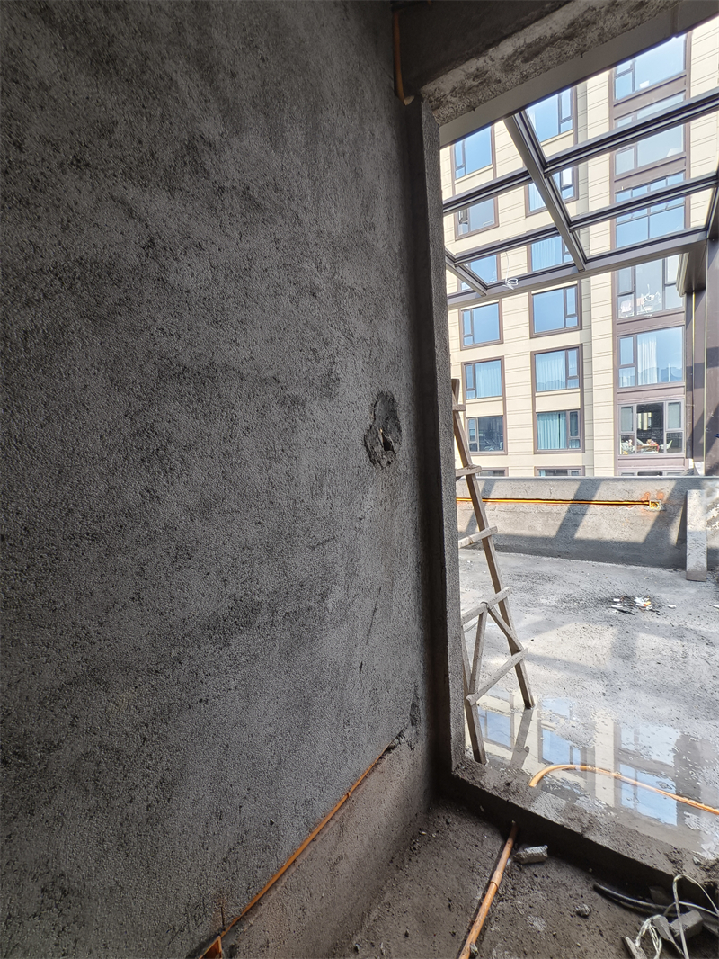 IMG_20250224_110629.jpg