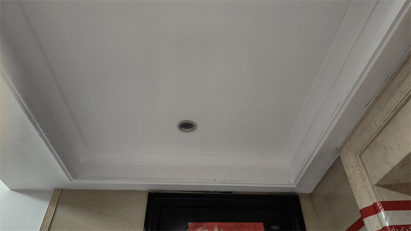 IMG20250217124250.jpg