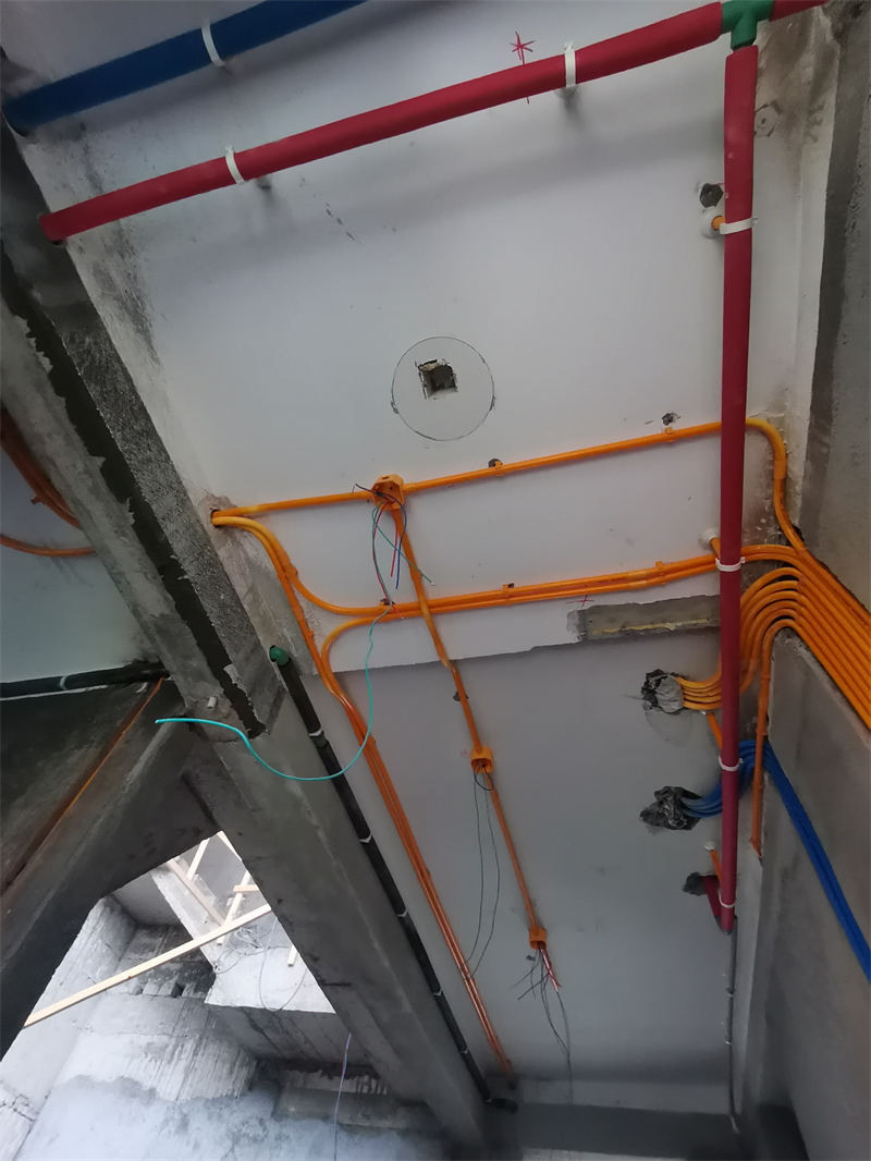 IMG_20250225_090710.jpg