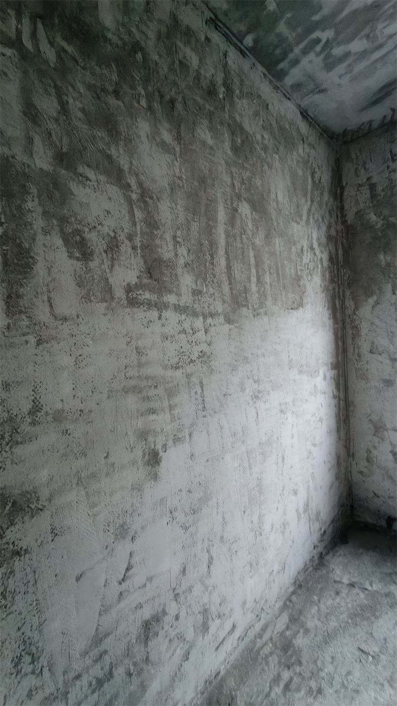 IMG20250225172206.jpg