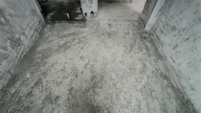 IMG20250225172223.jpg