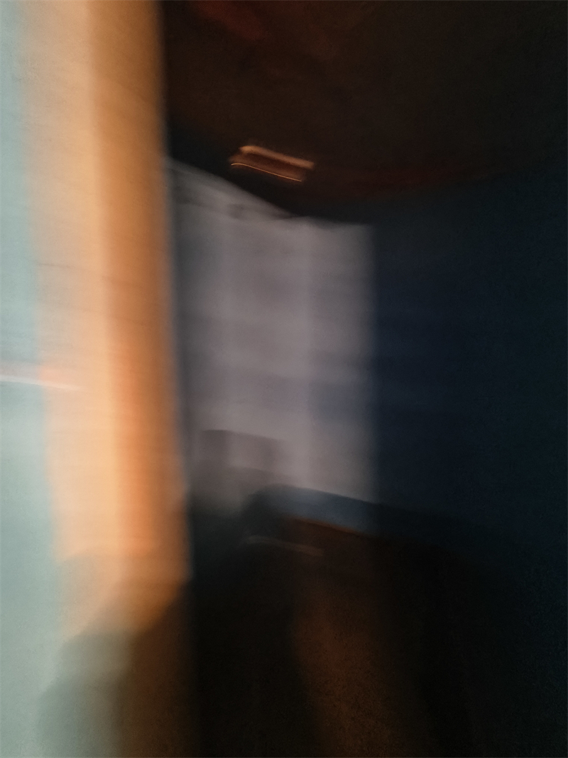 IMG_20250301_124809.jpg