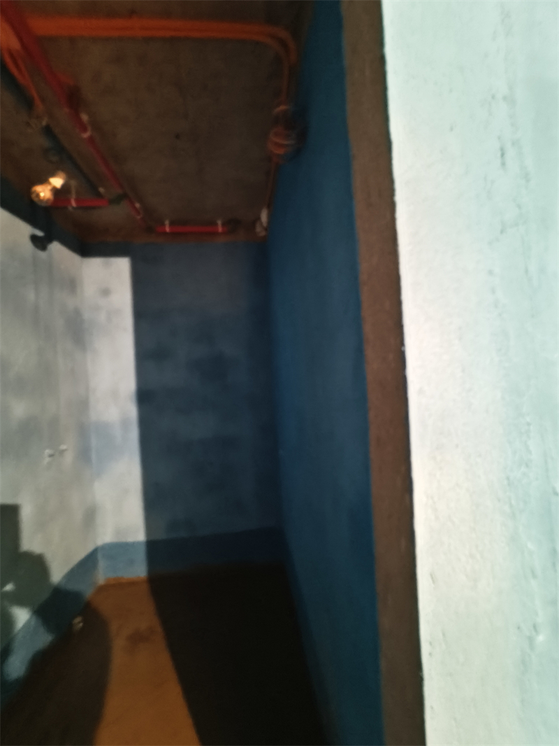 IMG_20250301_124814.jpg