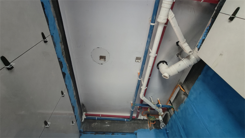 IMG20250301133418.jpg