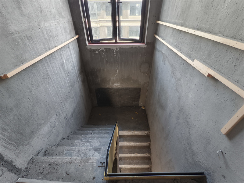 IMG_20250301_093817.jpg