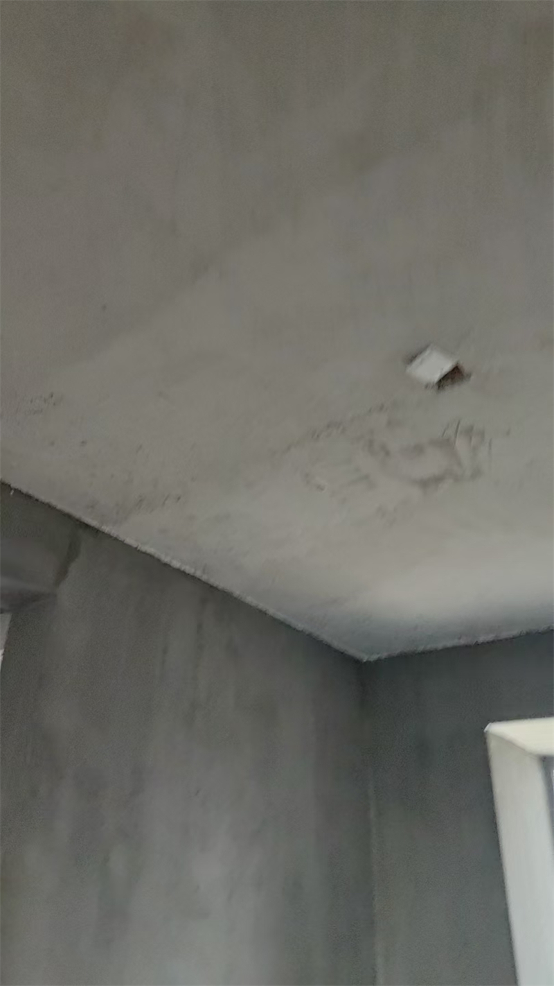 mmexport1740966498313.jpg