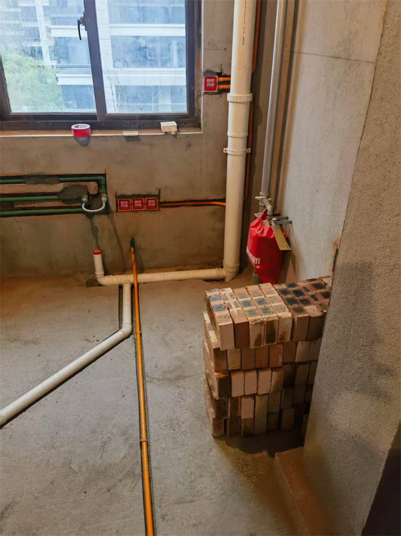 mmexport1741068434483.jpg