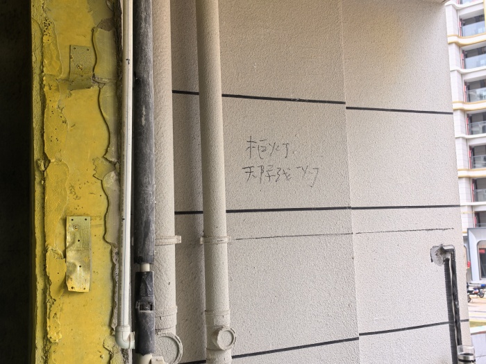 IMG_20250306_094358.jpg