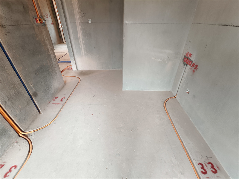IMG_20250306_090121.jpg