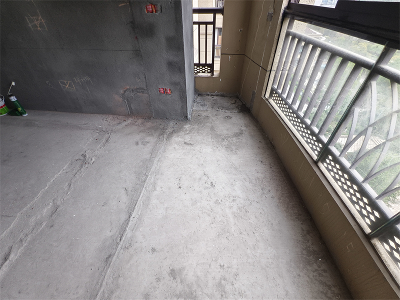 IMG_20250307_122521.jpg
