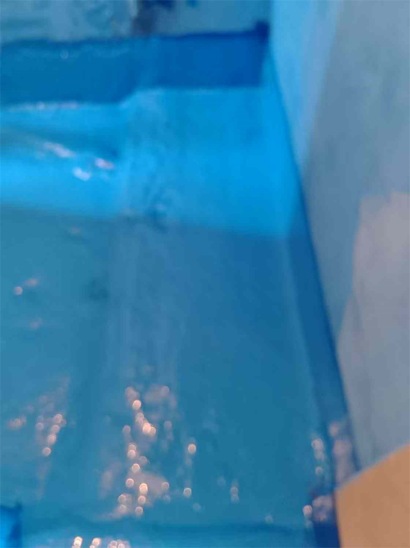 mmexport1741347559993.jpg