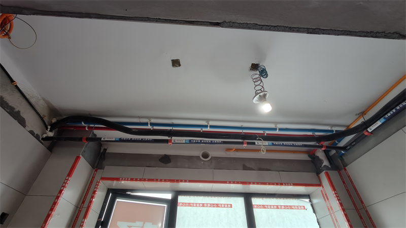 IMG20250303084224.jpg