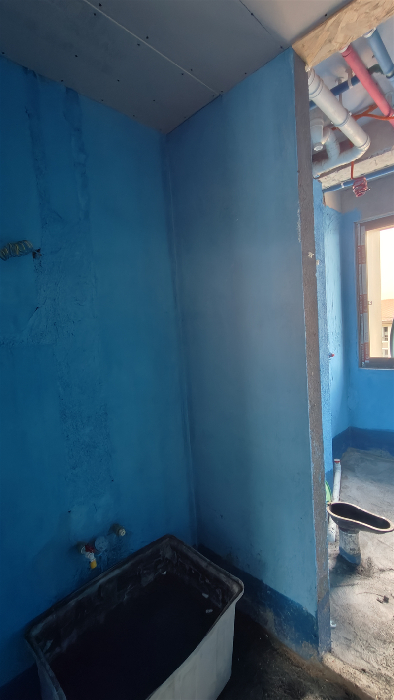 IMG20250301143116.jpg