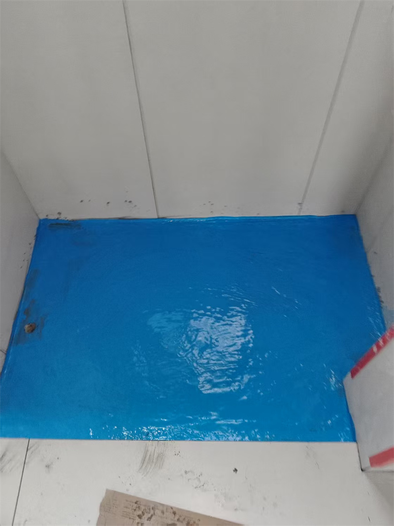mmexport1741693504224.jpg