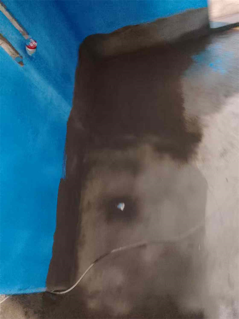 mmexport1741756517065.jpg