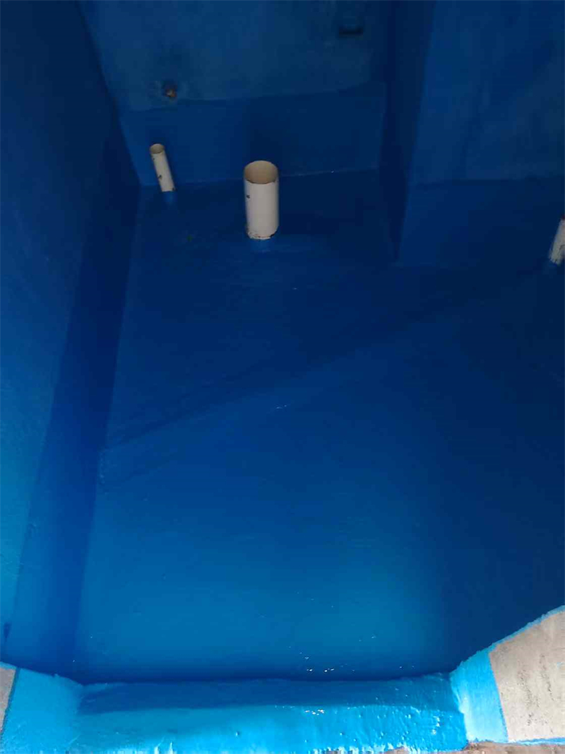 mmexport1741762072581.jpg
