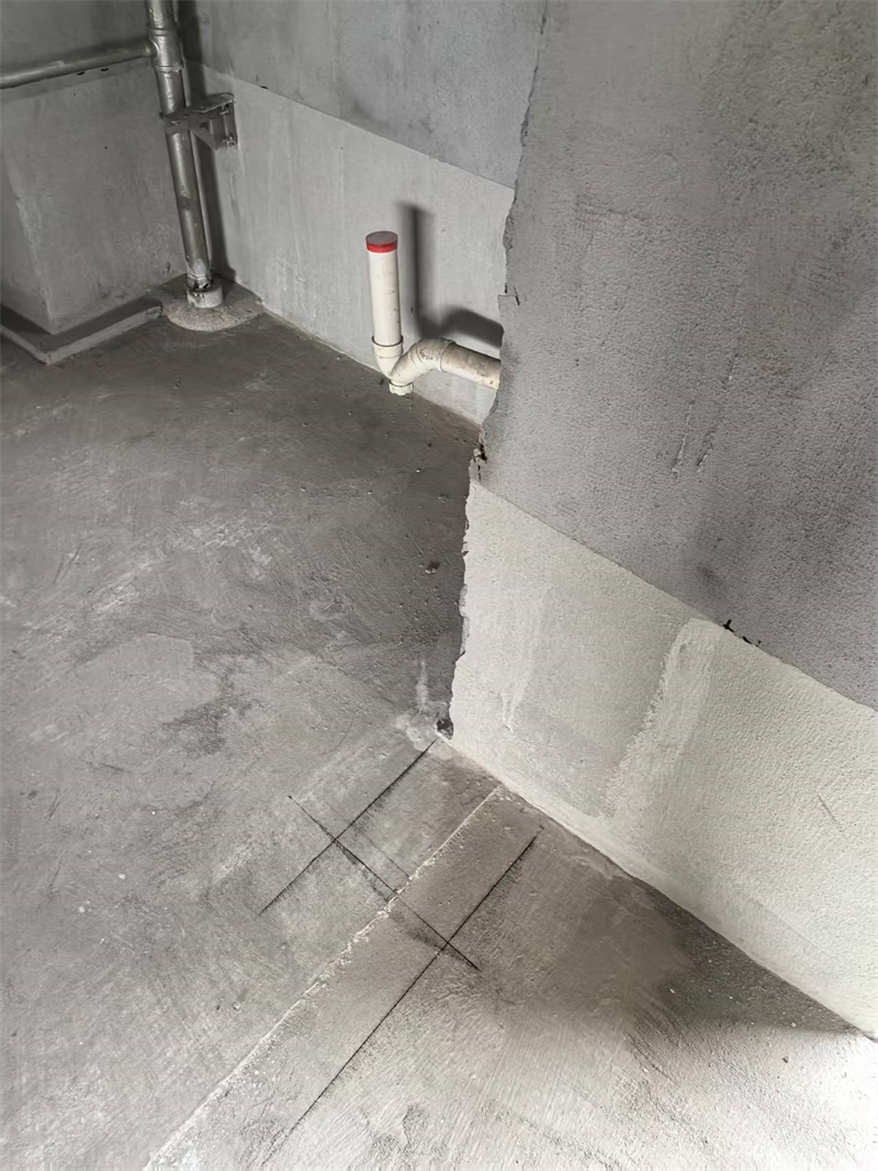 mmexport1741765082544.jpg