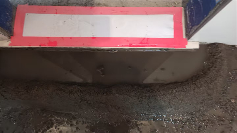mmexport1741861908099.jpg
