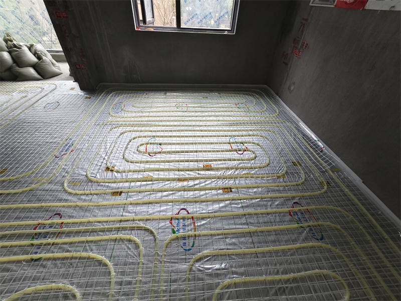 IMG_20250315_102530.jpg