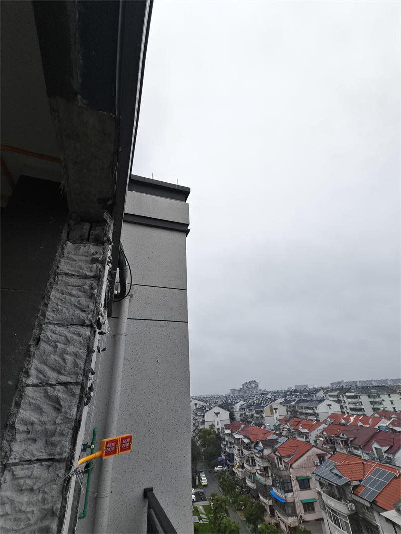IMG_20250315_083757.jpg