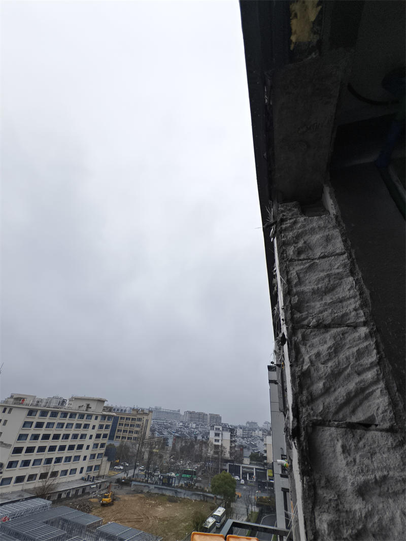 IMG_20250315_083733.jpg