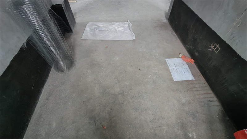 IMG20250313131056.jpg