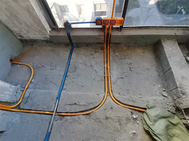 IMG_20250318_083621.jpg