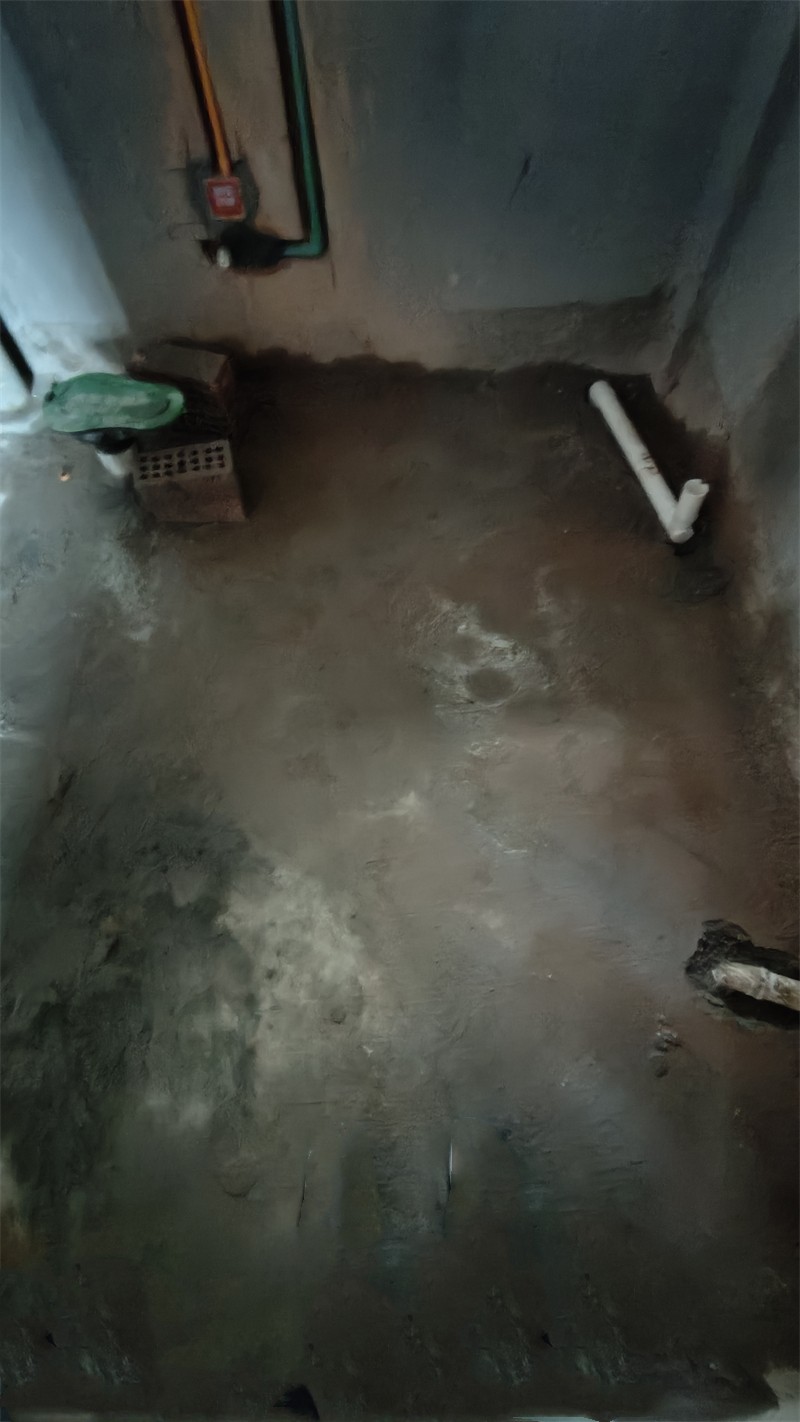 IMG20250318171819.jpg