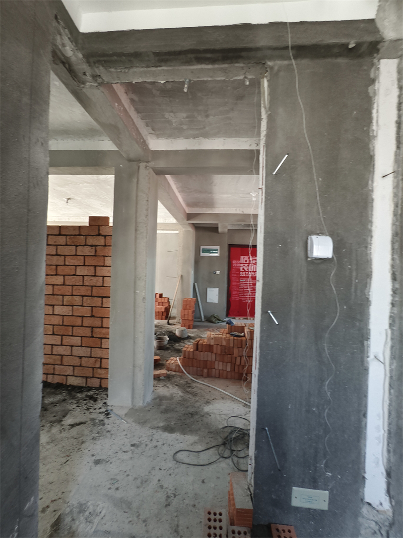 IMG_20250322_115935.jpg
