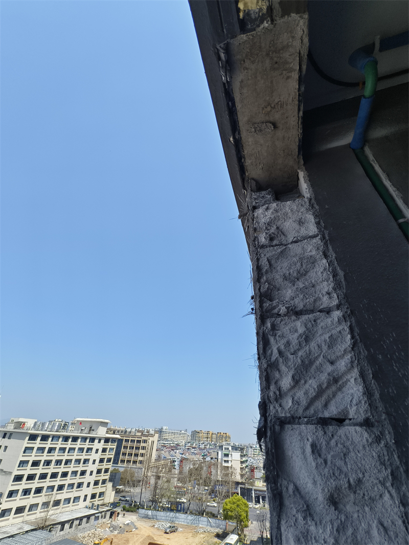 IMG_20250322_120953.jpg