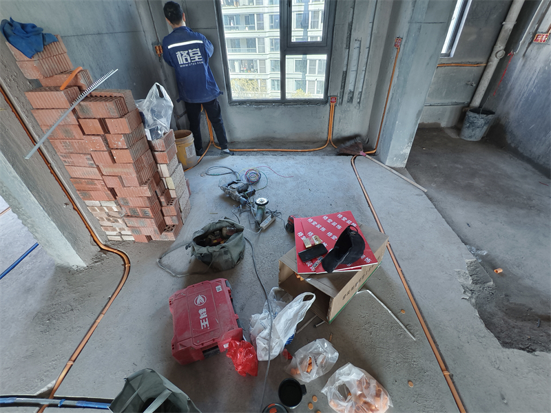 IMG_20250322_100021.jpg