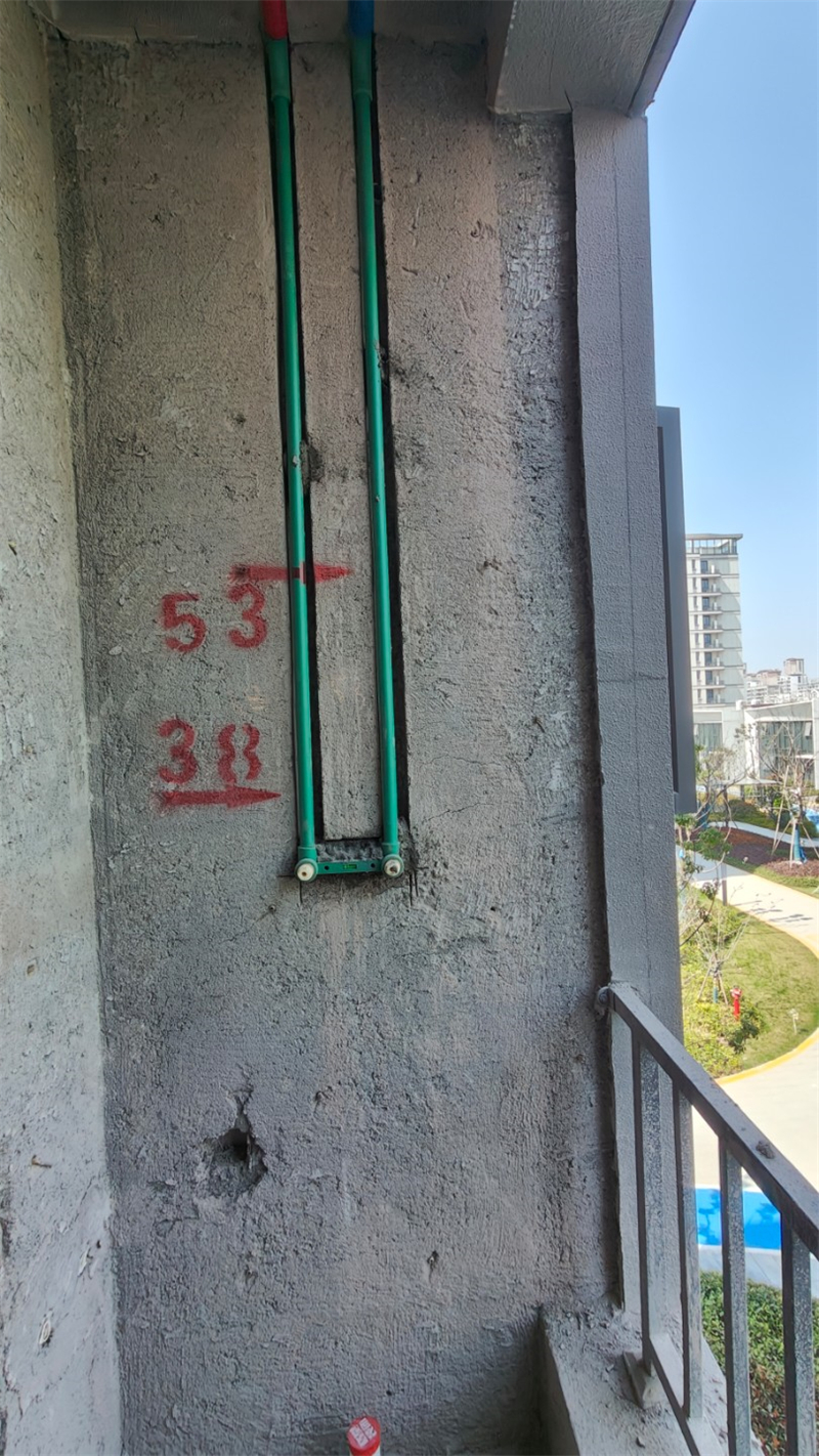 IMG20250320105455.jpg