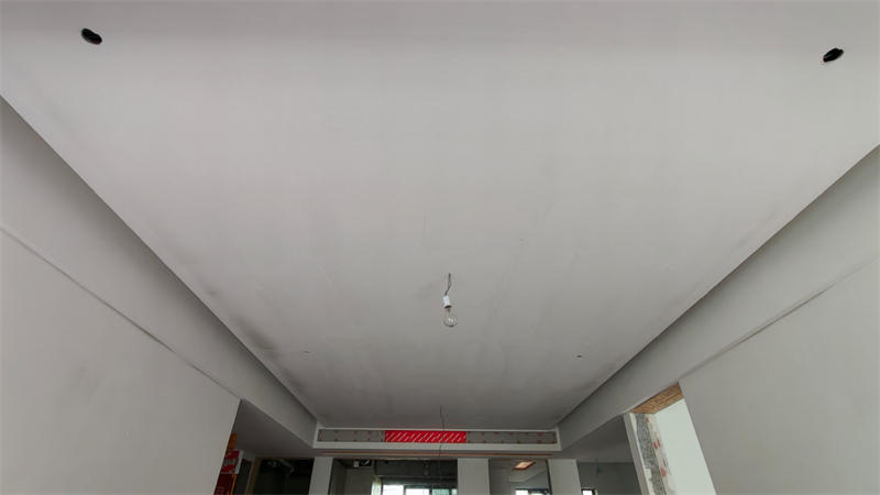 IMG20250320115507.jpg