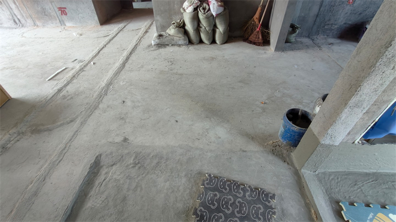 IMG20250320130315.jpg