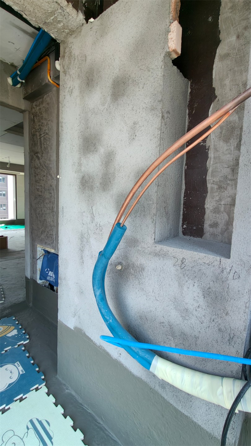 IMG20250320130430.jpg