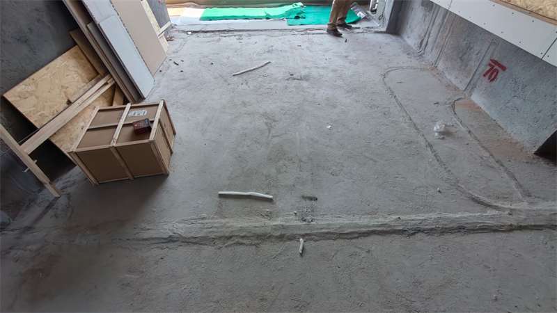 IMG20250320130501.jpg