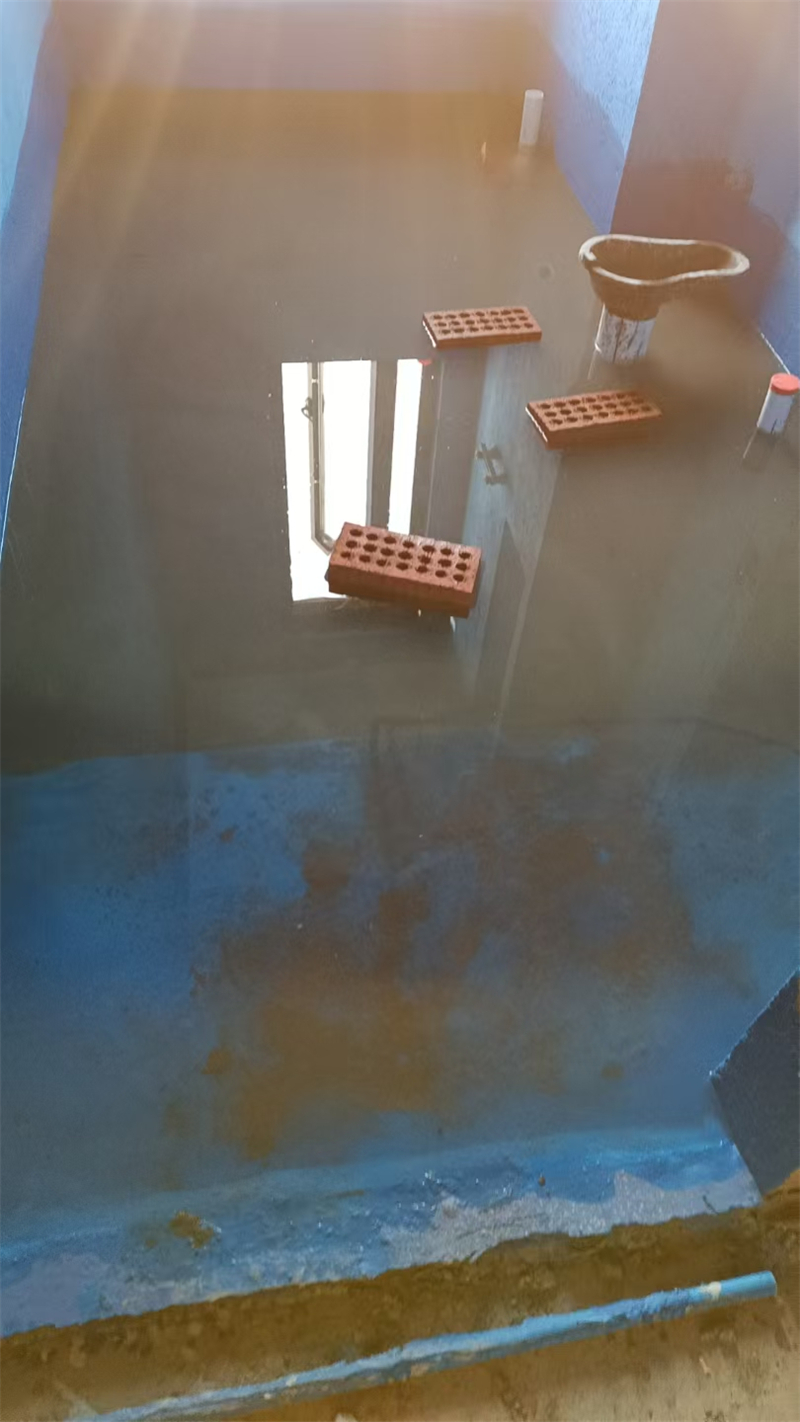 mmexport1742902658615.jpg