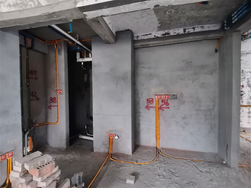 IMG_20250328_091907.jpg
