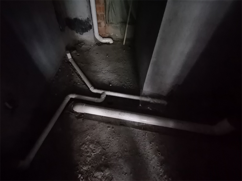 IMG_20250328_092108.jpg