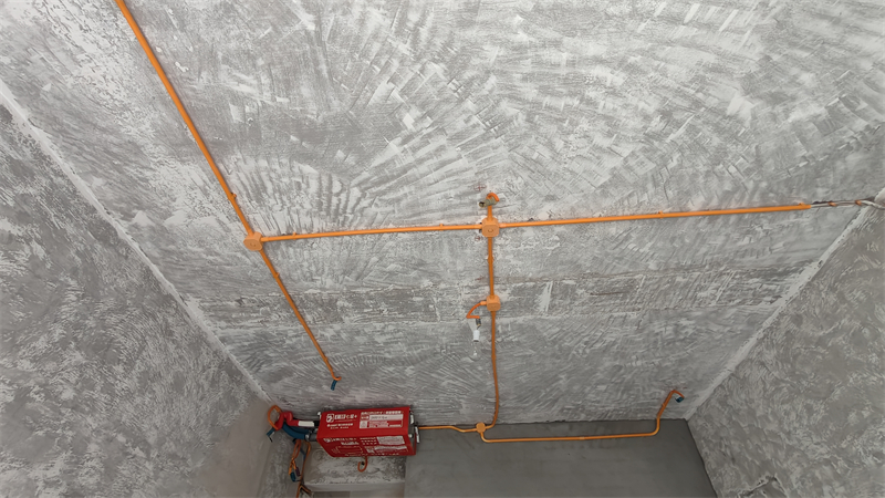 IMG20250323105931.jpg